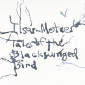 Tales of the Blackwinged Bird